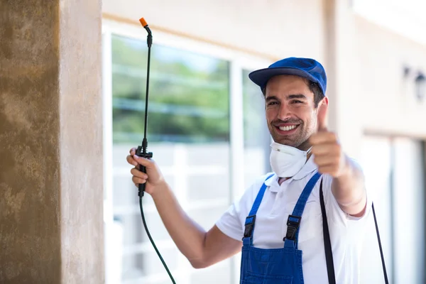 Westminster Wasp Removal