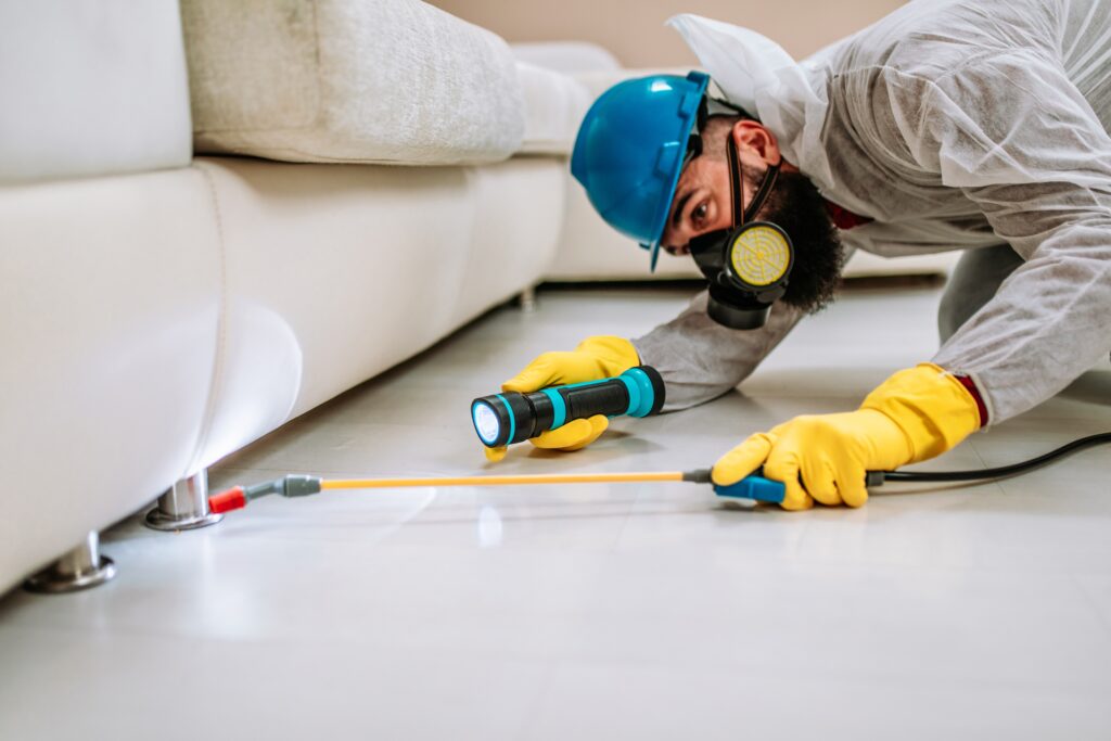 Westminster Termite Control