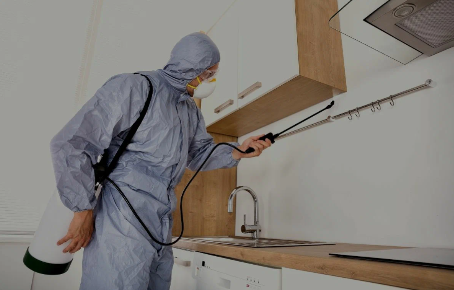 Westminster pest managment